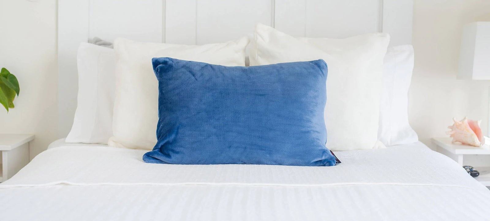 Throw Pillows
