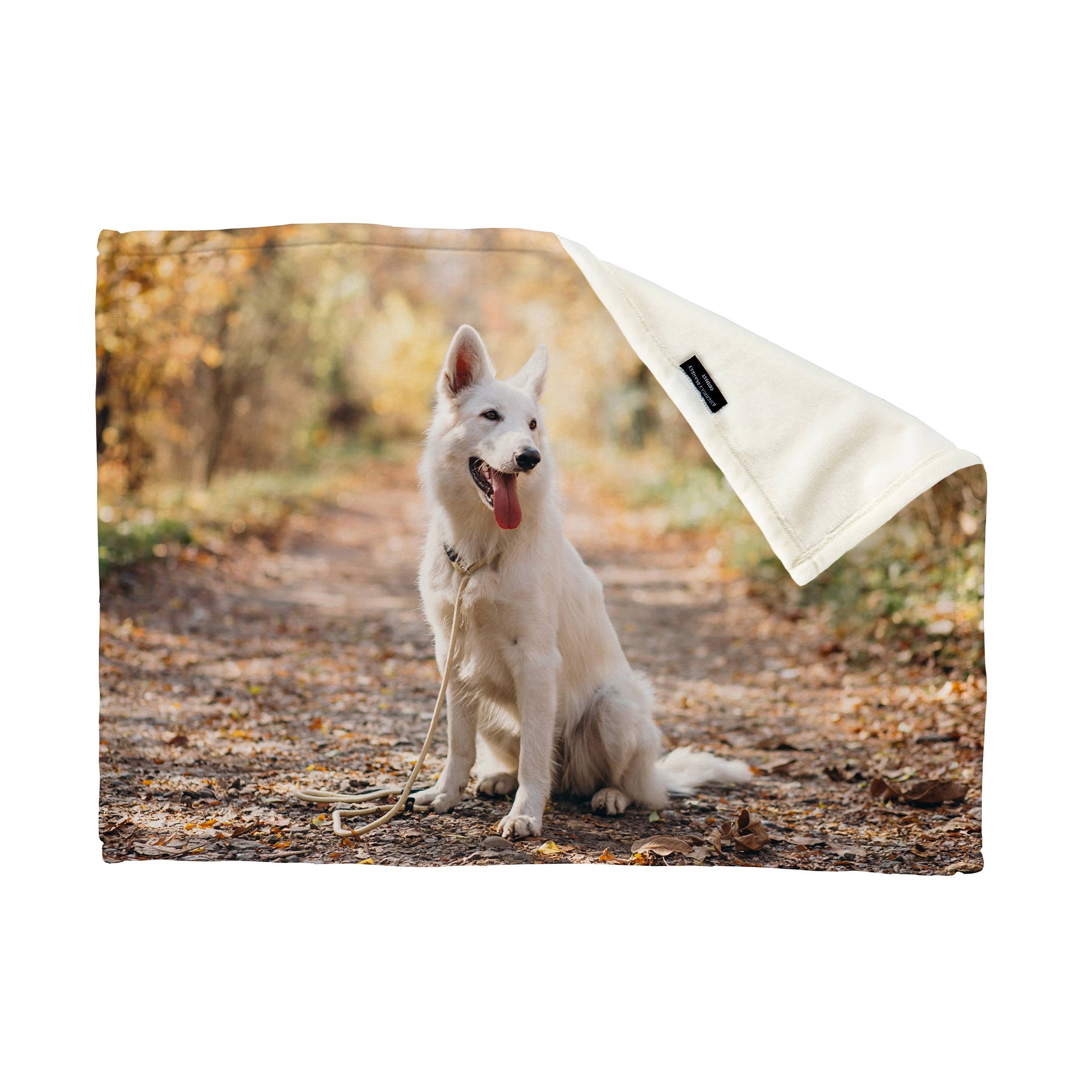 American Blanket Company - Luster Loft Fleece Blankets - Custom Printed Fleece Blankets - White dog sitting on a path with a blanket draped over it print example.