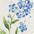 Forget me not / Throw (50