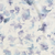Lilly Navy / Throw (50