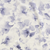 Lilly Sky / Throw (50