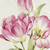 Magenta Tulip / Throw (50