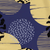 MultiPrint Navy / Throw (50