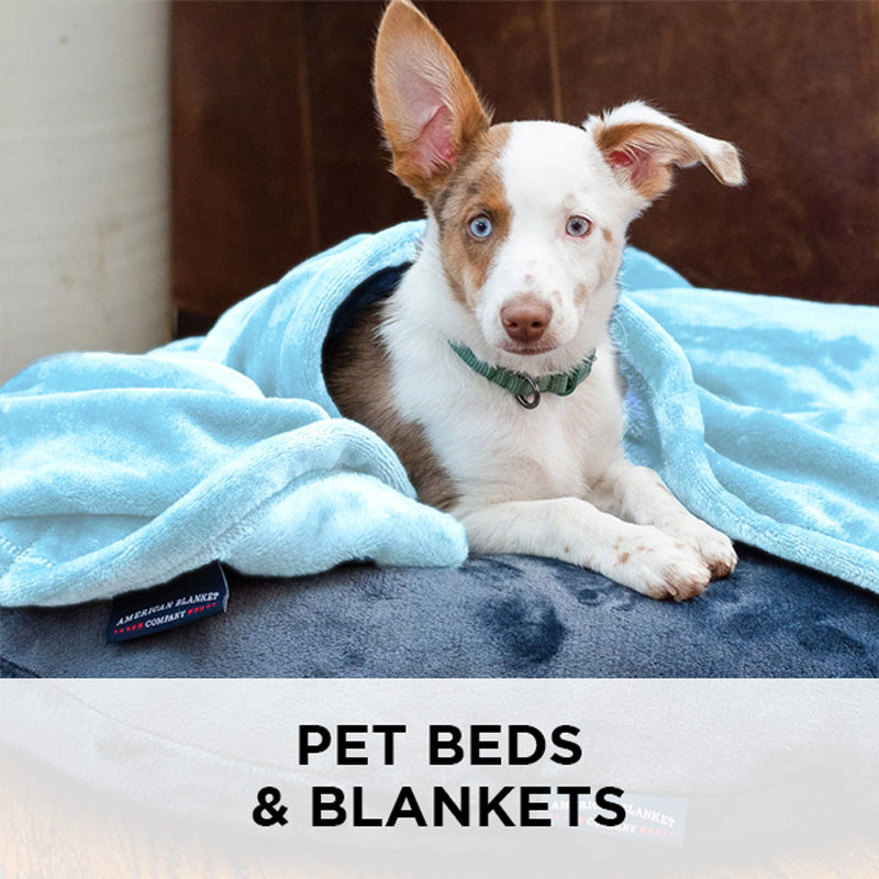 AMERICAN BLANKET COMPANY - PET BEDS AND BLANKETS - A BLUE EYED DOG WRAPPED IN A LUSTER LOFT FLEECE BLANKET ONTOP OF A LUSTER LOFT FLEECE PET BED