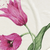 Pink Tulip / Throw (50