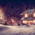 Winter Scene / Throw (50