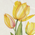 Yellow Tulip / Throw (50