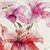 Amaryllis / Throw (50