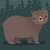 Brown Bear / Throw (38