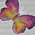 Butterfly Famous Poems