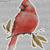 Cardinal Inspirational Quotes