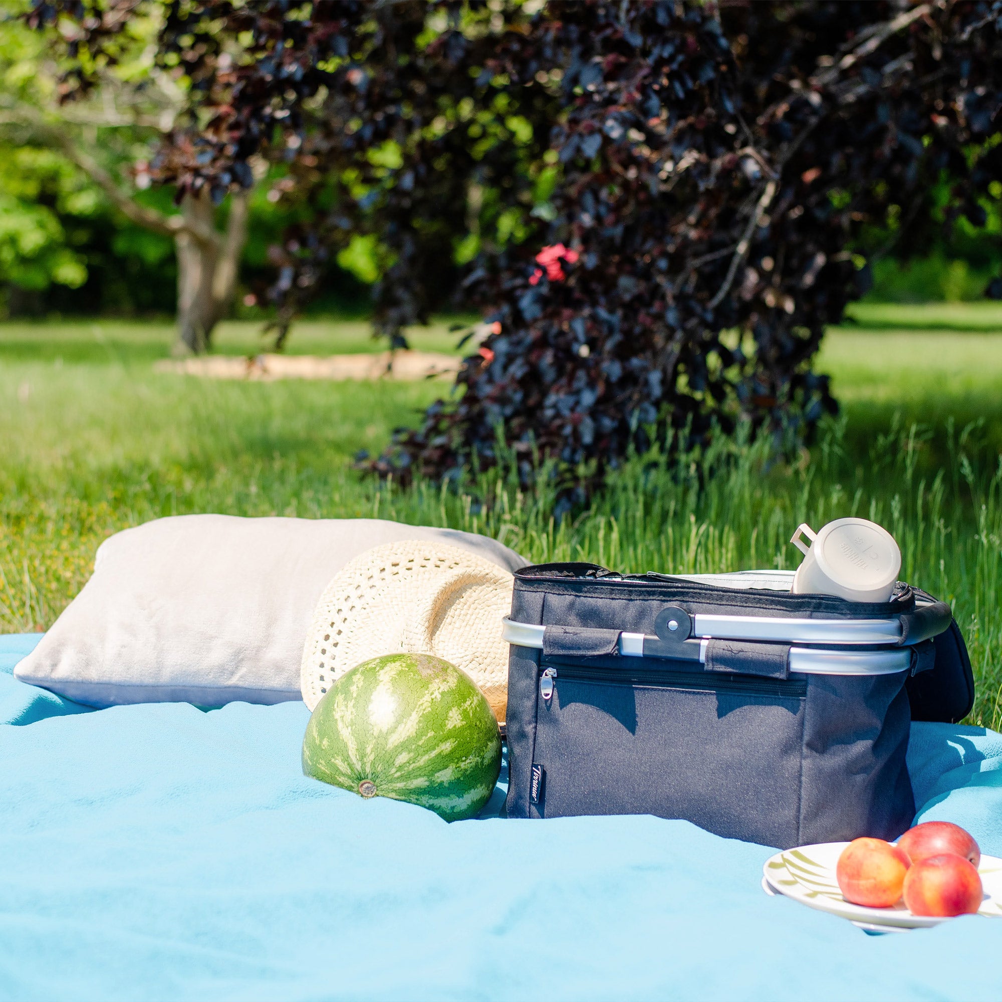 American Blanket Company - Peaceful Touch Fleece Blankets - fleece picnic blanket on grassy setting. 